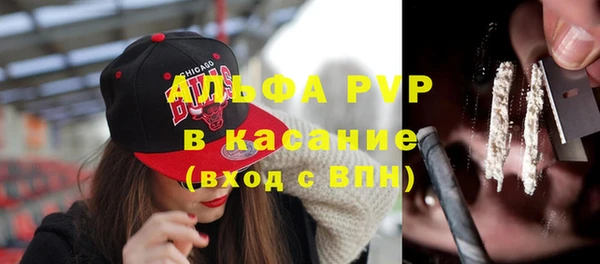 крисы Алзамай