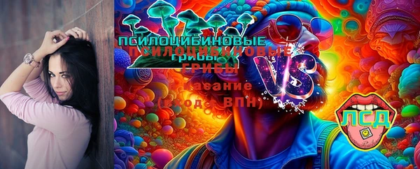 герыч Алексин