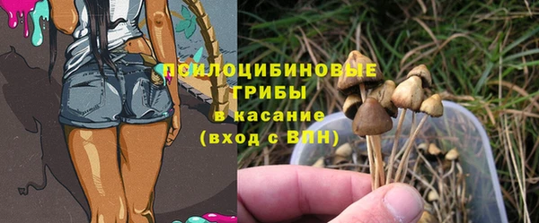 крисы Алзамай