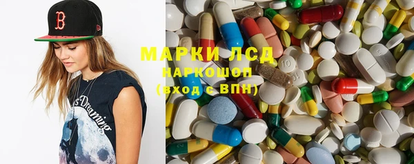 крисы Алзамай